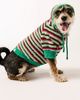 Anthropologie Eyelash Striped Pet Hoodie - 1
