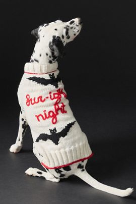Anthropologie Halloween Phrase Pet Sweater