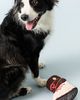 Anthropologie Holiday Dog Toy - 1