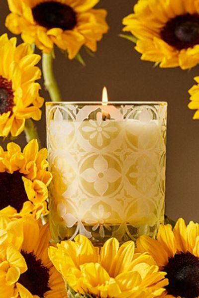 Anthropologie Hotel Bon Séjour Fresh Sunflower & Bergamot Boxed Glass Candle