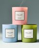 Anthropologie Hotel Lobby Floral Nantucket Wild Rose & Sea Salt Glass Candle - 2