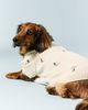 Anthropologie Icon Applique Pet Sweater - 1