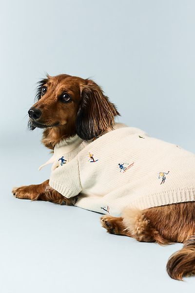 Anthropologie Icon Applique Pet Sweater