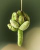 Anthropologie Janelle Beaded Velvet Vegetable Ornament - 1