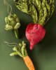 Anthropologie Janelle Beaded Velvet Vegetable Ornament - 2