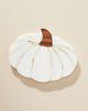 Anthropologie Marble Pumpkin Coaster - 5