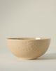Anthropologie Old Havana Serving Bowl - 4