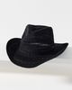 Anthropologie Packable Knit Rancher Hat - 1
