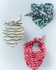 Anthropologie Pet Bandana Pack - 1
