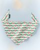 Anthropologie Pet Bandana Pack - 4