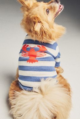 Anthropologie Pinch Perfect Striped Lobster Pet Sweater