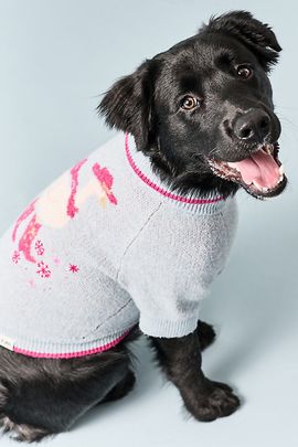Anthropologie Seasonal Icon Pet Sweater