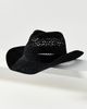 Anthropologie Straw Rancher Hat - 1