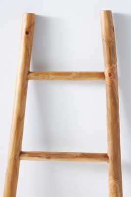 Anthropologie Travis Blanket Ladder