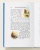 Anthropologie Winnie The Pooh Leather Bound Edition Kids Book - 2