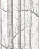 Anthropologie Woods & Stars Black/White Wallpaper - 2
