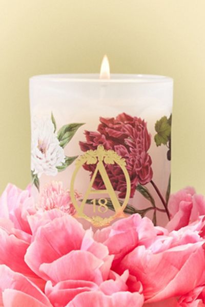 Apothecary 18 by Anthropologie Apothecary 18 Floral Peony Blush Boxed Glass Candle