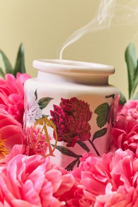 Apothecary 18 by Anthropologie Apothecary 18 Floral Peony Blush Ceramic Candle
