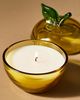 Apothecary 18 by Anthropologie Apothecary 18 Fruity Harvest Apple & Vanilla Glass Candle - 2