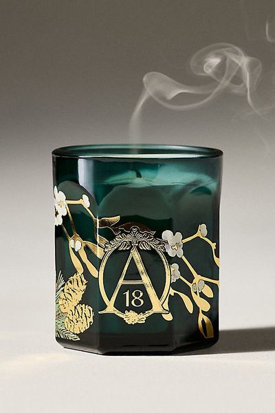 Apothecary 18 by Anthropologie Apothecary 18 Woody Mistletoe & Moss Boxed Glass Candle