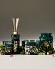 Apothecary 18 by Anthropologie Apothecary 18 Woody Mistletoe & Moss Glass Diffuser - 2