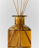 Apotheke Apotheke Holiday Glass Reed Diffuser & Fragrance Oil Set in Pumpkin Ginger at Urban Outfitters - 1