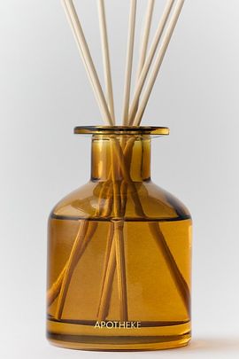 Apotheke Apotheke Holiday Glass Reed Diffuser & Fragrance Oil Set in Pumpkin Ginger at Urban Outfitters