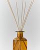 Apotheke Apotheke Holiday Glass Reed Diffuser & Fragrance Oil Set in Pumpkin Ginger at Urban Outfitters - 2