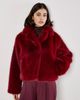 Apricot Apricot Faux Fur Collar Short Coat - 5
