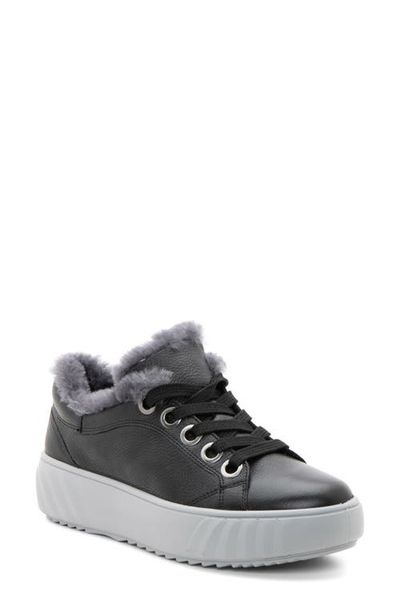 ara ara Mikky Genuine Shearling Sneaker