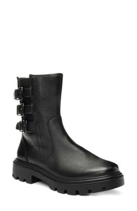 ara ara Montpelier Combat Boot