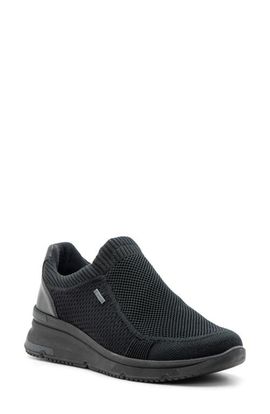 ara ara Nassau Waterproof Slip-On Sneaker