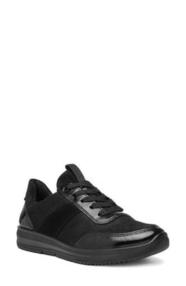 ara ara Oolong Sneaker