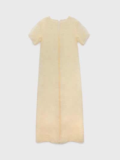 Arch The Half Sleeve Organza Silk Dress