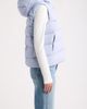 Arc'Teryx Arc'Teryx Thorium 750 Fill Power Down Hooded Vest - 3