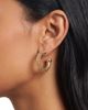 AREA STARS AREA STARS Hema Textured Hoops - 2