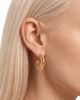 AREA STARS AREA STARS Samrita Fan Post Earrings - 3