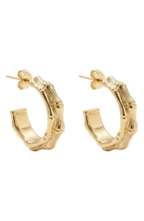 ARGENTO VIVO ARGENTO VIVO Chunky Bamboo Hoop Earrings