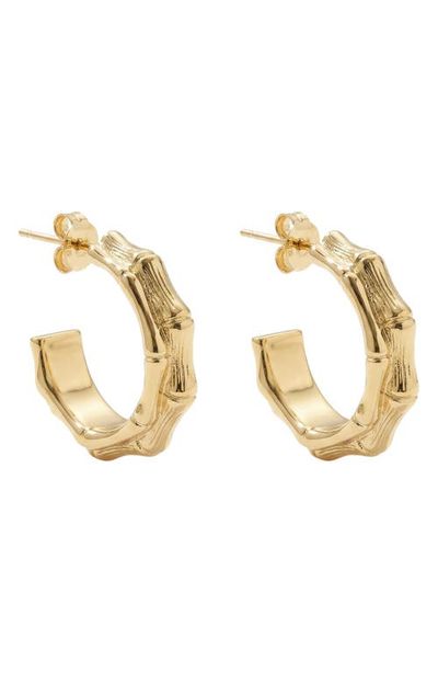 ARGENTO VIVO ARGENTO VIVO Chunky Bamboo Hoop Earrings
