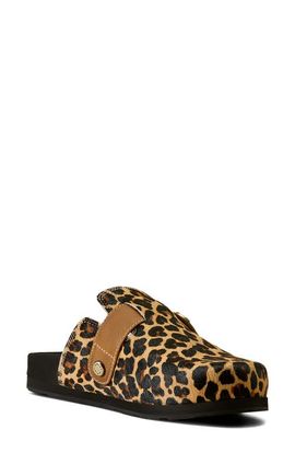 Ariat Ariat Country Leather Mule