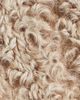 ARMA ARMA Mooneyforest Vega Genuine Shearling Jacket - 5