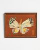 Artfully Walls Butterfly Solo Wall Art - 1