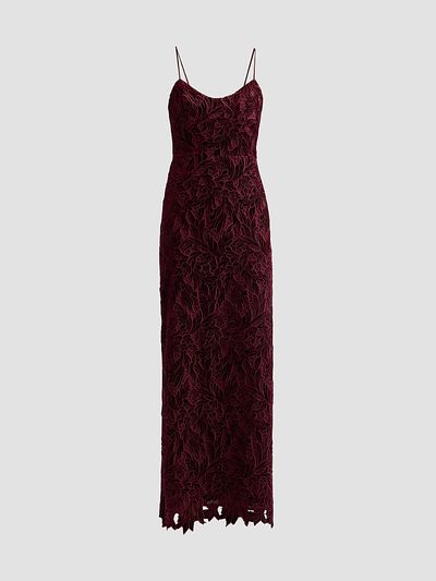 As It May Women's Charlotte Velvet Lace Gown