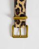 ASOS Curve ASOS DESIGN Curve hair on leather belt with square buckle in leopard print-Brown - 2