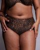 ASOS Curve ASOS DESIGN Curve Kitty high waisted bikini shorts in leopard-Brown - 4