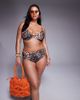 ASOS Curve ASOS DESIGN Curve Leo contrast binding underwire bikini top in animal print-Multi - 2