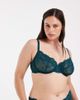 ASOS Curve ASOS DESIGN Curve Lola lace underwired bra in emerald green - 1