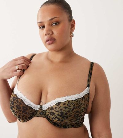 ASOS Curve ASOS DESIGN Curve Savannah sheer mesh leopard print underwire bra with cream lace-Multi
