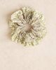 ASOS DESIGN ASOS DESIGN ditsy floral print scrunchie in cream-White - 2