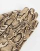 ASOS DESIGN ASOS DESIGN faux leather long gloves in snake print-MULTI - 3